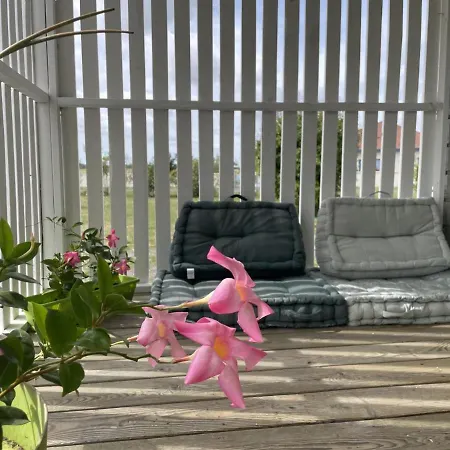 Au Bord De L'eau Avec Terrasse, Peche, Baignade Surveillee, Buvette Et Activites Exterieures - Fr-1-489-360 Pierrefitte-sur-Loire
